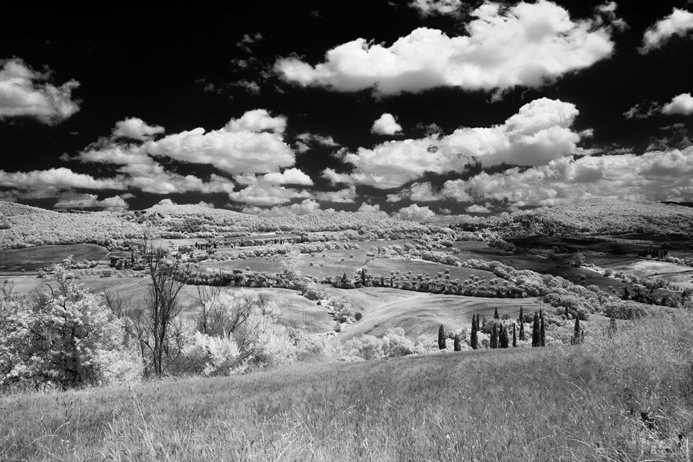 Matrimonio in Val D'Orcia 3